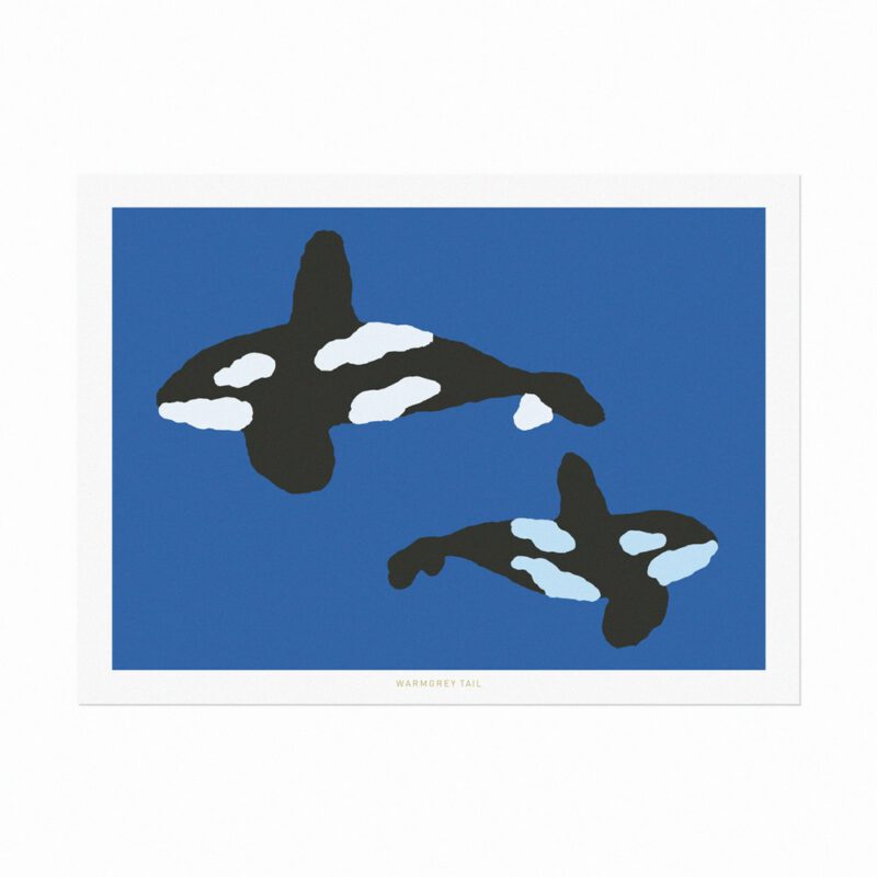 Postkarte - Orca